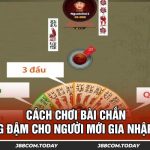 Cách Chơi Bài Chắn Thắng Đậm Cho Người Mới Gia Nhập 2024
